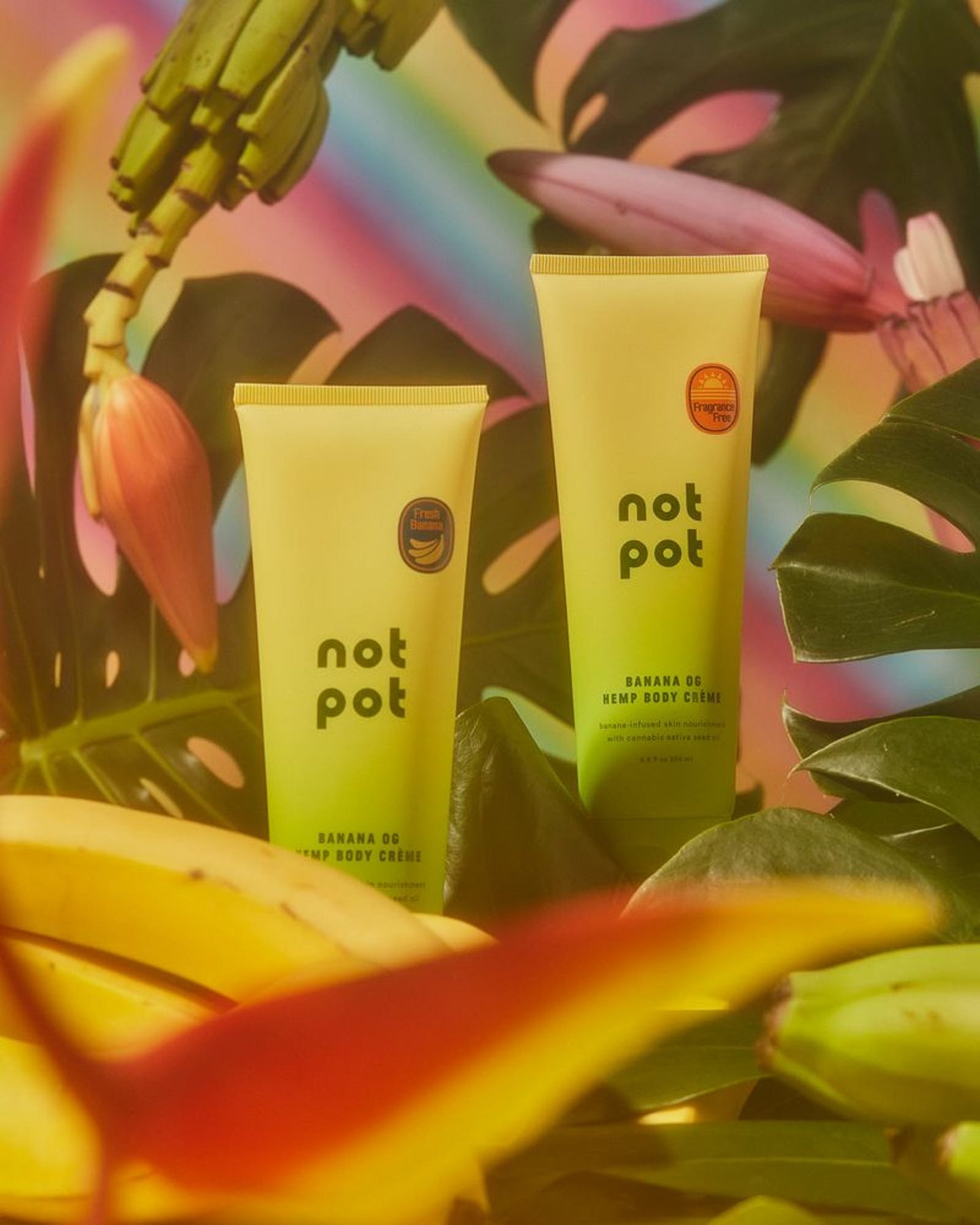 Buy 1 Get 1 Fresh Banana Hemp Body Crème Duo