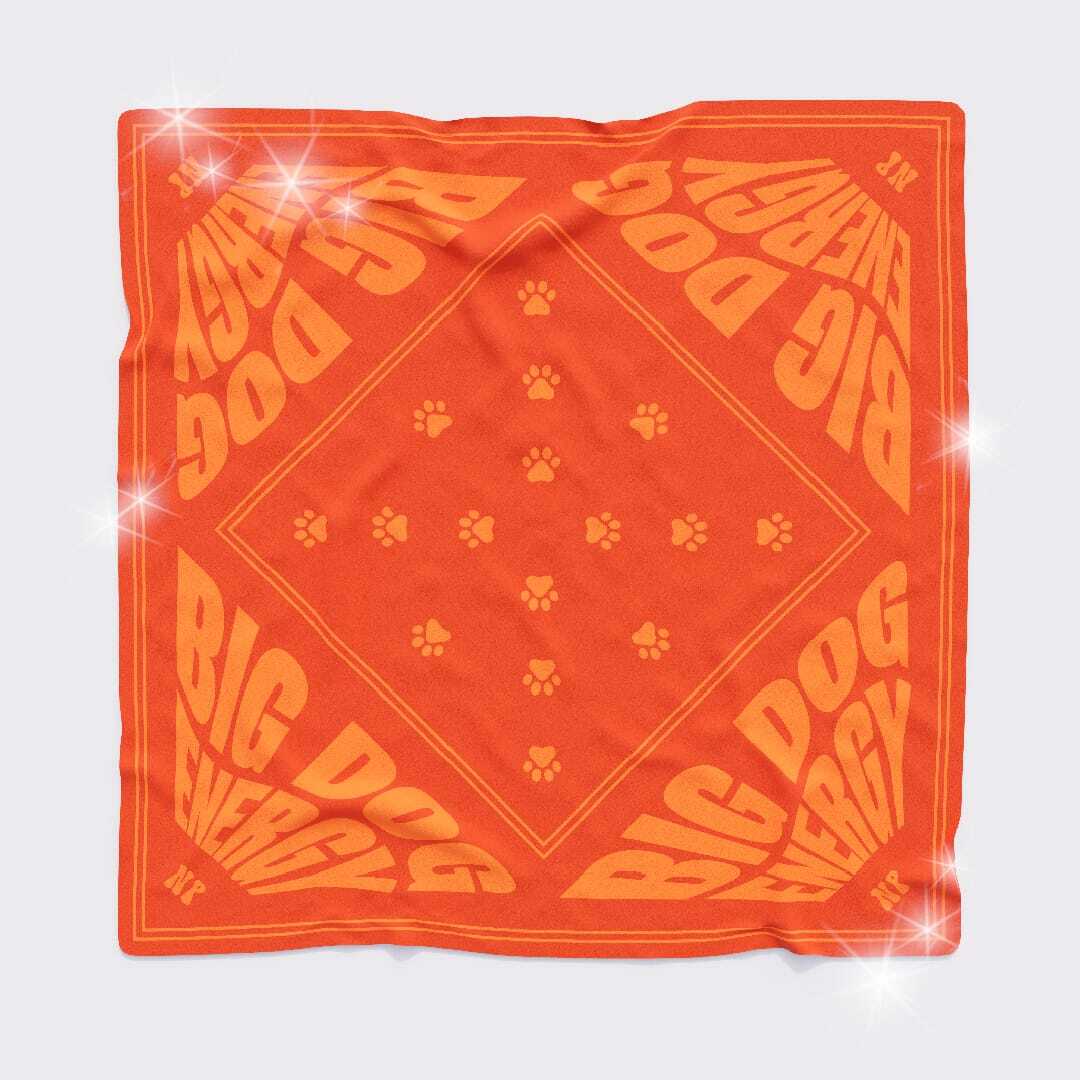 Pet Bandana